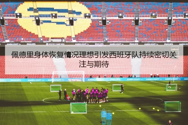 佩德里身体恢复情况理想引发西班牙队持续密切关注与期待
